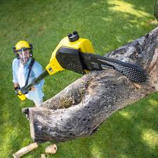 Best Lawn Maintenance Plans  in Smithville, TN